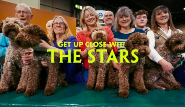 Apple Vision Pro için 'Top Dogs' Tanıtım Fragmanı Yayınlandı