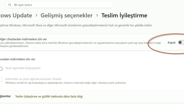 Windows İnternetinizi Nasıl Sömürüyor? İşte Çözümü!